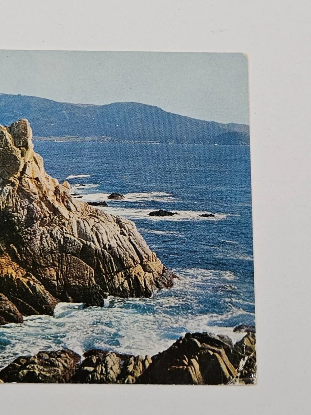 Lone Cypress Point Monterey Cypress Postcard